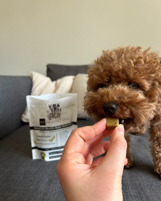 Dog Multivitamin