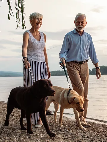 Top 10 dog breeds for older adults