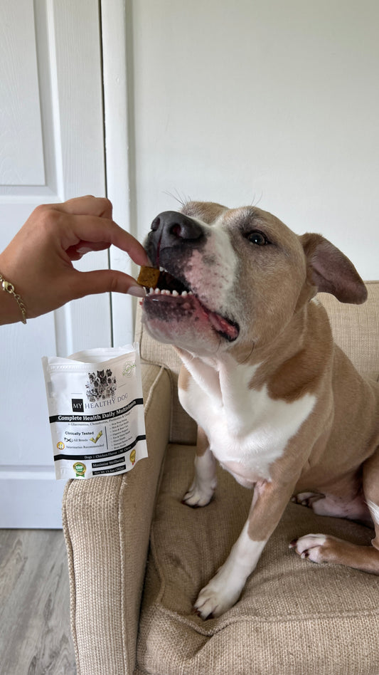 Experts Warn, Not Enough Dog Rescue Owners Are Giving Their Rescues Dog Multivitamins: The Benefits and Importance of Proper Supplementation