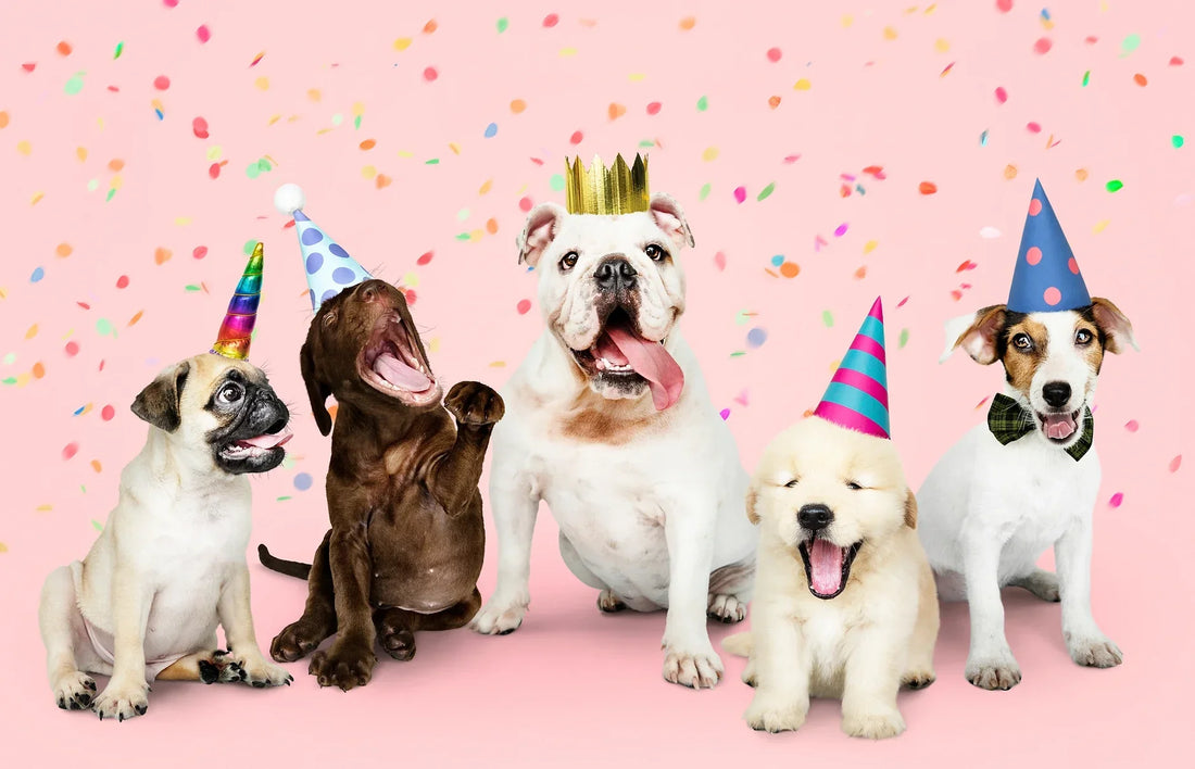 How do you calculate a dog's top age in dog years