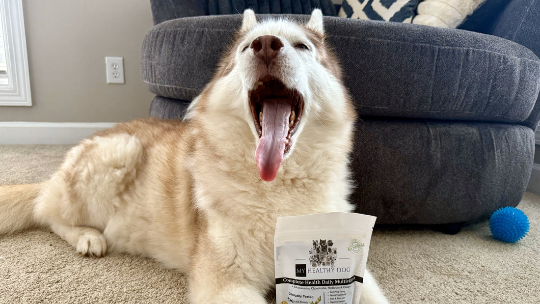 Probiotics for dogs