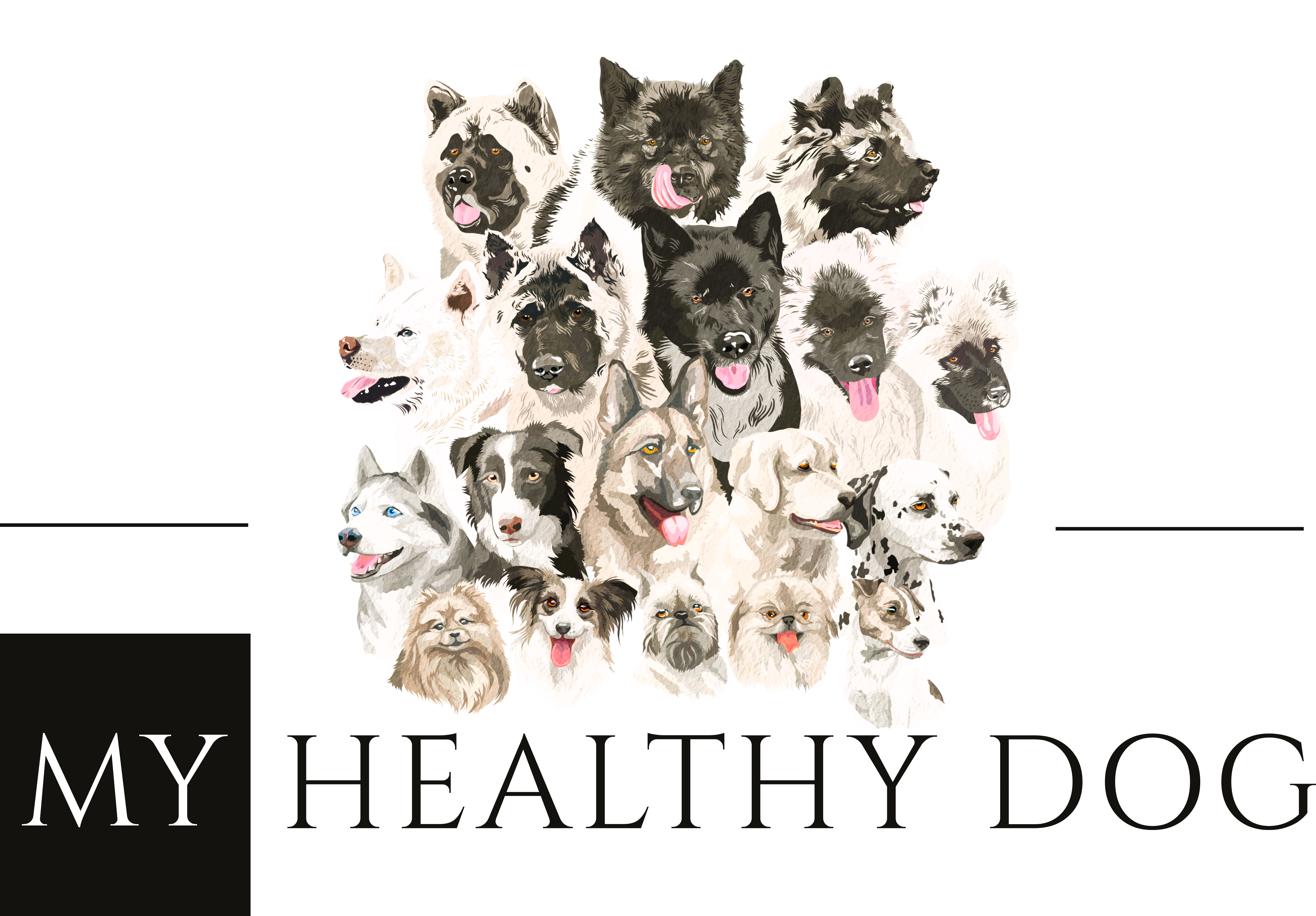 My Healthy Dog